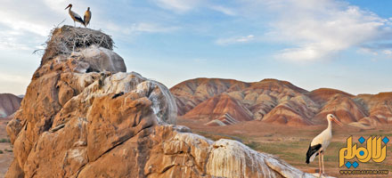 استان زنجان